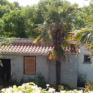 https://apartment-tomato.pula-hotels.org